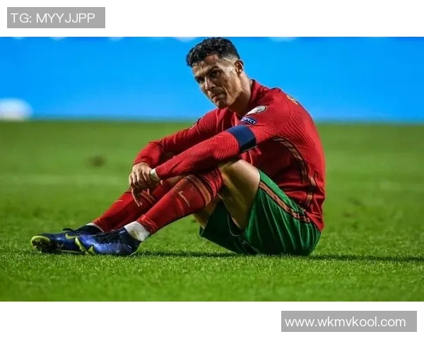 葡萄牙足球国家队球星的辉煌历程与未来展望