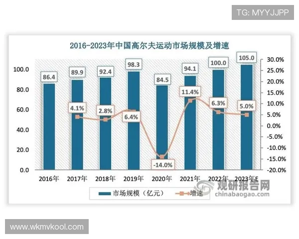 杭州网球队个人能力深度解析与发展策略探讨