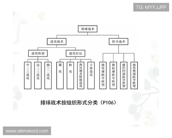 武汉排球队配合策略分析与战术提升探讨